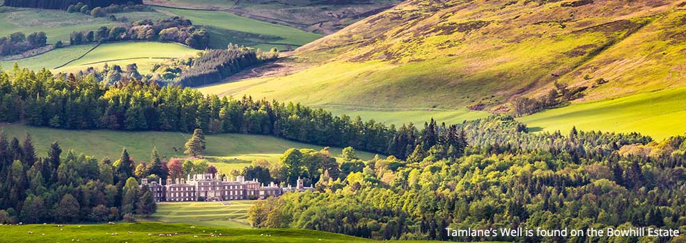 Tamlane’s Well is found on the Bowhill Estate