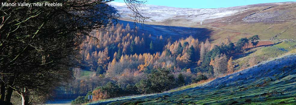 Manor Valley, near Peebles