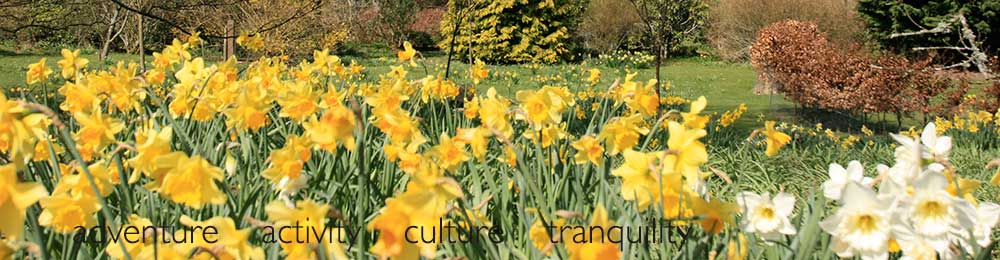 Gardens in the Tweed Valley