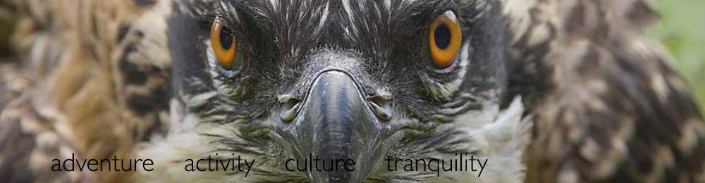 Wildlife in the Tweed Valley