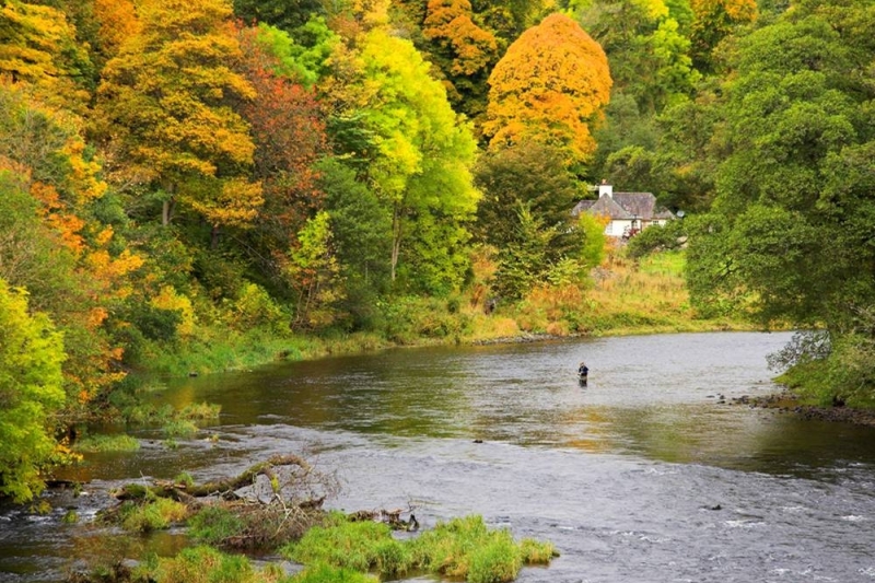 Autumn fishing at Yair