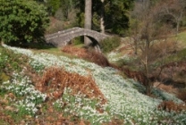 Dawyck Botanic Garden Dawyck Botanic Garden