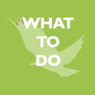 What to Do